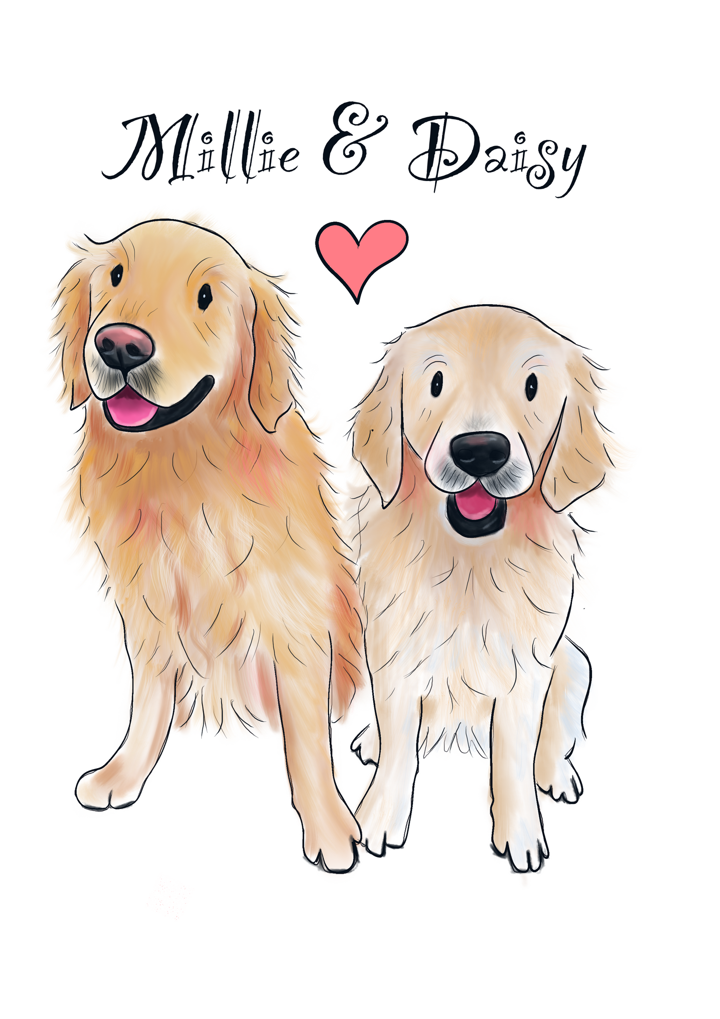 Illustration of a pet portrait of golden retrievers sat side by side smiling with a pink heart in the middle. Text saying Millie and Daisy and a white background.