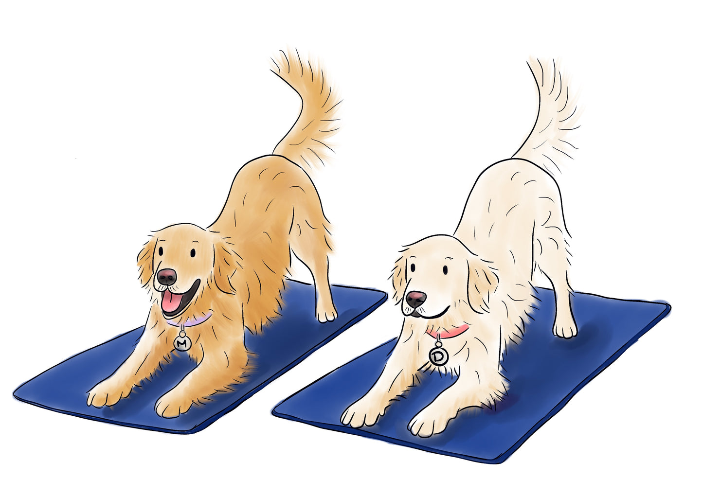 Pet Illustration Print – Custom digitally Hand Drawn Pet Portrait from Photo