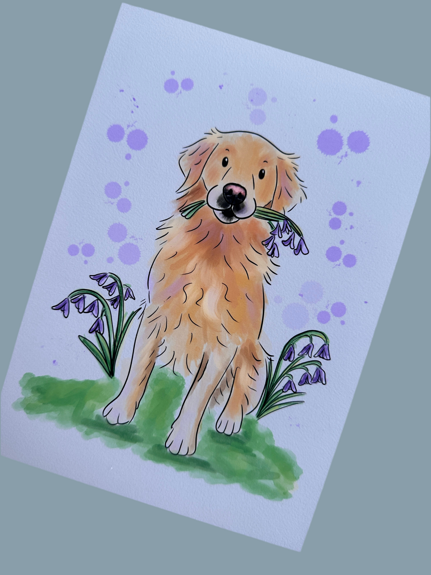 A golden retriever illustration art print laying diagonally on a light grey background. The golden retriever has bluebells in its mouth and is sitting in a field of bluebells and green grass. The background is covered in purple bubbles.