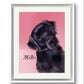Pet Illustration Print – Custom digitally Hand Drawn Pet Portrait from Photo